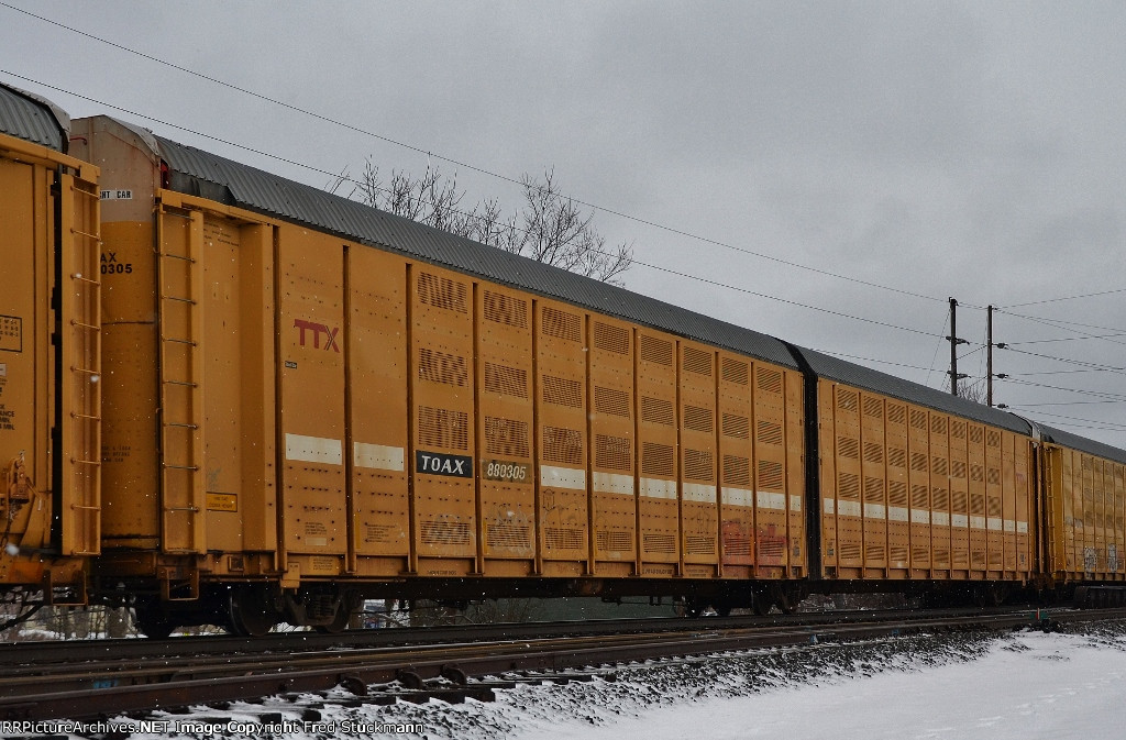 TOAX 880305 is new to rrpa.